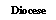 Text Box: Diocese